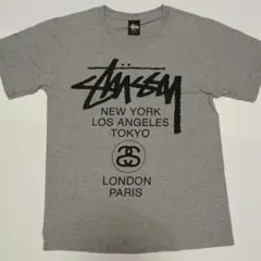 グレー×ブラック STUSSYワールドツアー　　X-LARGE APE