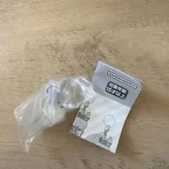 めじるしアクセサリー miffy 70th anniversary ミッフィ