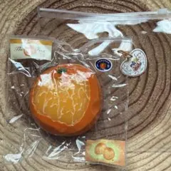 The Fox スクイーズ オレンジ