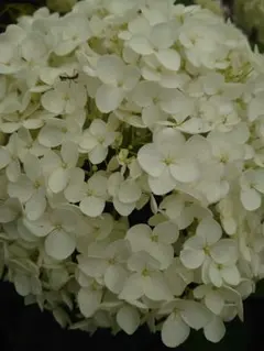 マゴマゴ様 リクエスト 2点 まとめ商品