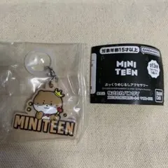 SEVEETEEN セブンティーン MINITEENディノ　めじるしアクセサリー