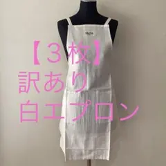 Item thumbnail for item 0dc95901-0ef7-4c27-8869-58dfdf9c597c