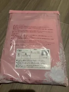 Tシャツ IT301 シャルレ　バイオレット　3L