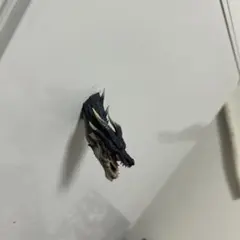 モンスターハンター一番くじ