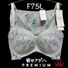 ＊F75L トリンプ プレミアム 寄せアゲハ 花と油絵 ブラ＆ショーツ M013