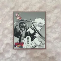 銀魂 ジャンプフェア 2023 色紙 複製 特典 アニメイト 坂田銀時