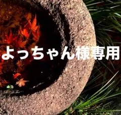 よっちゃん様 リクエスト 3点 まとめ商品