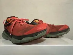 Item thumbnail for item 7bb2f044-89cc-455a-bb25-9131447e50d1