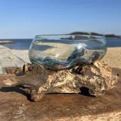 流木ガラスオブジェB18E 花瓶 金魚鉢 ガーデニング テラリウム 観賞魚 容器