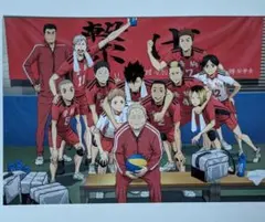 ハイキュー ゴミ捨て場の決戦 第2弾 入場者特典 音駒高校集合写真