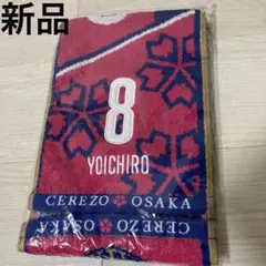 Item thumbnail for item a6863ed0-bb1e-4630-a66a-34a291fe8573