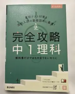 Item thumbnail for item a55f363b-f582-4019-9abf-3128c4eaa327