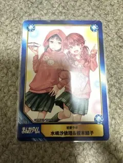 Item thumbnail for item 170bc7b0-8b0c-4bc2-9245-417b7d624a38