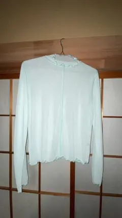 シアータートル Tシャツ