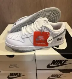 nikeダンクロー 29