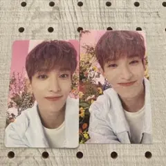 seventeen ドギョムトレカ