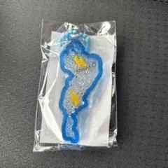 琵琶湖キーホルダー イナズマ