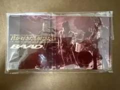 BAAD 君が好きだと叫びたい