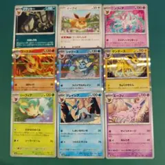 テラスタルフェスex ブイズ 9枚セット