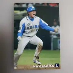 Y.KATAOKA Calbee 2009 埼玉西武ライオンズ
