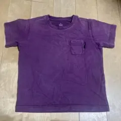 タラスボルバ 紫 Tシャツ キッズ