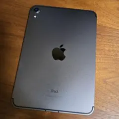 Apple iPad mini 6 256GB cellular 本体
