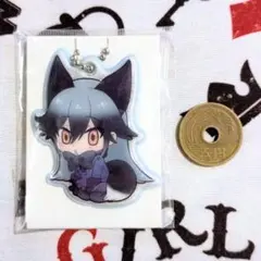 2025年最新】けものフレンズ ぎんぎつねの人気アイテム - メルカリ