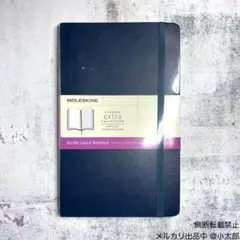 Item thumbnail for item f8e411df-517a-4b07-b296-a536b85c70cf