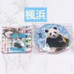 2025年最新】楓浜バッチの人気アイテム - メルカリ