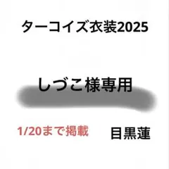 しづこ様専用　Bigぬい ぬい服 ターコイズ衣装　目黒蓮