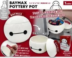 BAYMAX POTTERY POT《ベイマックス》