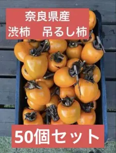奈良県産 渋柿 吊るし柿 50個セット