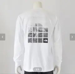 THE NORTH FACE ロングスリーブハーフドームウィンドウTシャツ XL