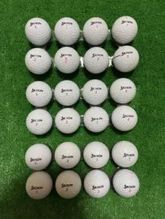 Item thumbnail for item 2d3e746f-a69a-43cf-a648-1220f023bae5