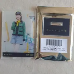 Item thumbnail for item 4760e7d0-f3ae-4d0a-9ec1-7449bd980c6b