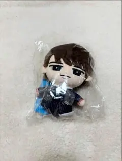 すのチル BIGぬいぐるみ 渡辺翔太