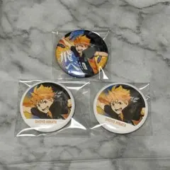 2025年最新】日向翔陽 缶バッジ 横断幕の人気アイテム - メルカリ