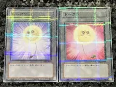 遊戯王 綿毛トークン パラレル２枚セット 2025年最新】綿毛トークン パラレルの人気アイテム - メルカリ