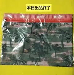LeSportsac　ポーチ　未使用