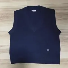 Christian Dior Vネックニットベスト - メルカリ