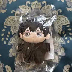 ハイキュー 影山飛雄 いつぬいふぃっくす - メルカリ