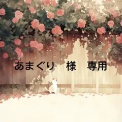 あまぐり様　専用
