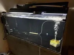 2025年最新】アクリル水槽1200の人気アイテム - メルカリ