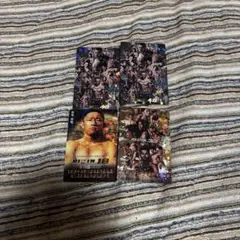 RIZIN ポテトスティク 4枚