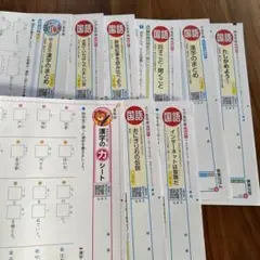 【未記入】小学5年生 カラーテスト 国語　青葉出版