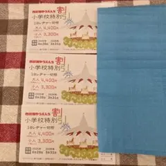 【早期発送】西武園ゆうえんち　小学校特別割引券　3枚セット