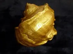 金色の夜光貝
