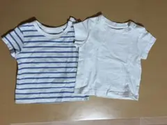 半袖Tシャツ2枚セット