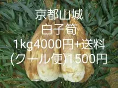 京都山城美濃山 白子筍 1kg5500円(送料込) 京都山城美濃山 白子筍 1kg5500円(送料込) - メルカリ