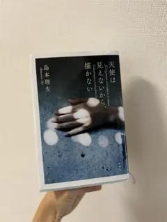 天使は見えないから、描かない 島本理生